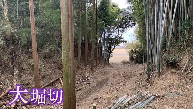 横須賀城