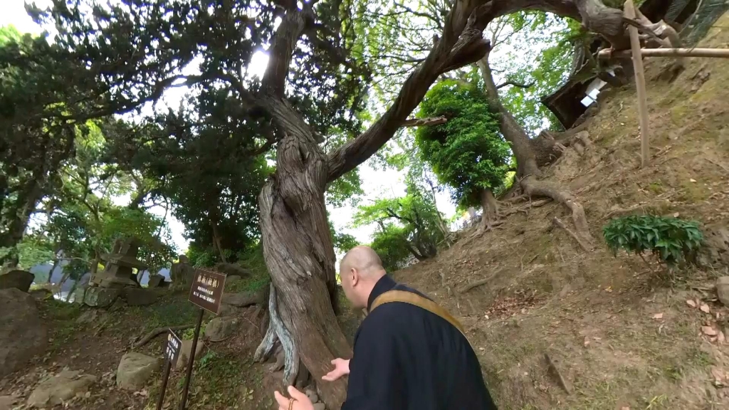 龍華寺