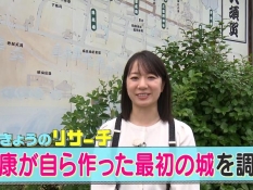 横須賀城