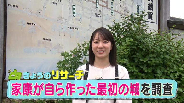 横須賀城