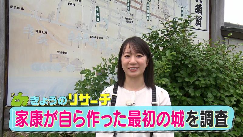 横須賀城