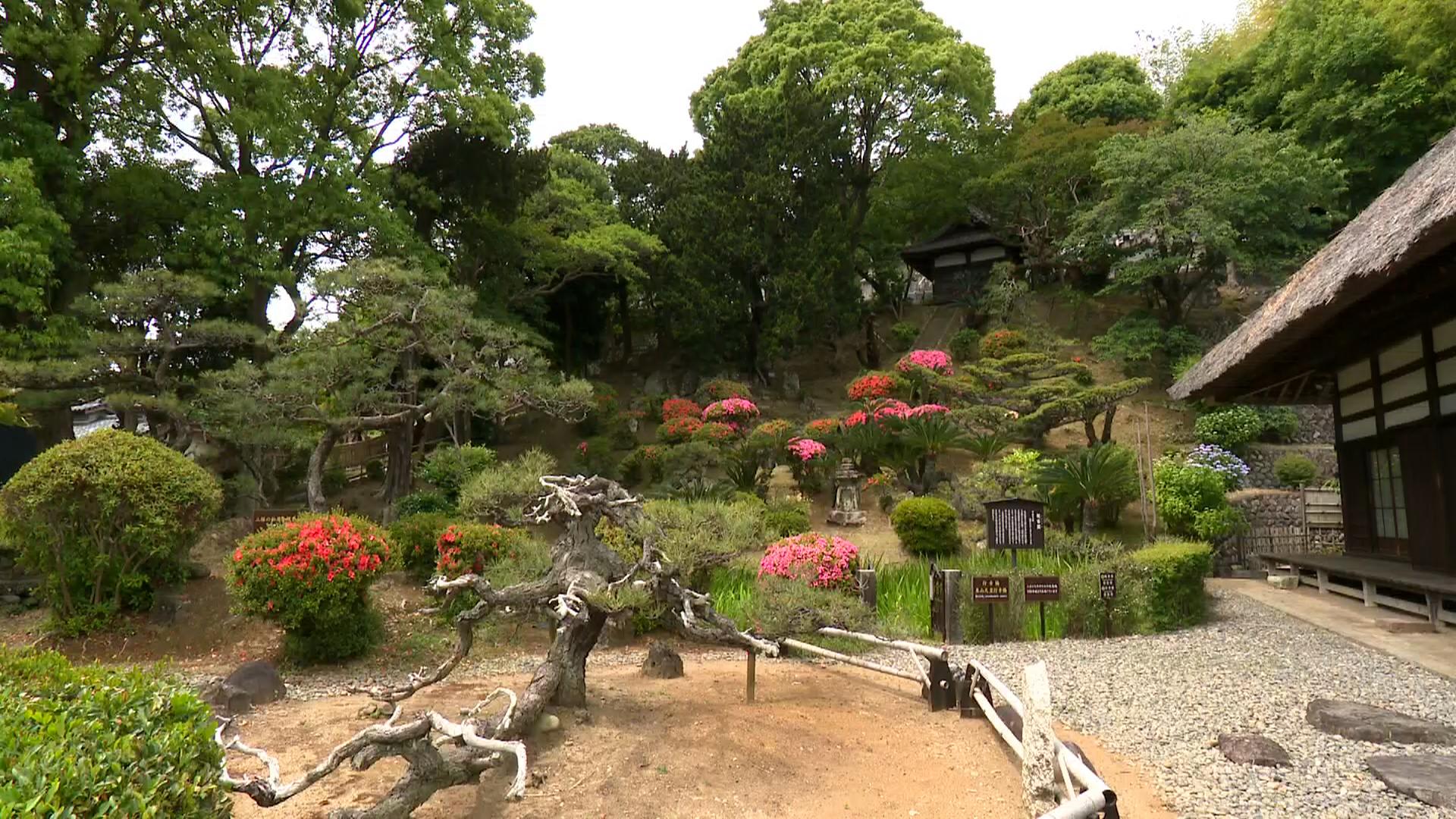 龍華寺