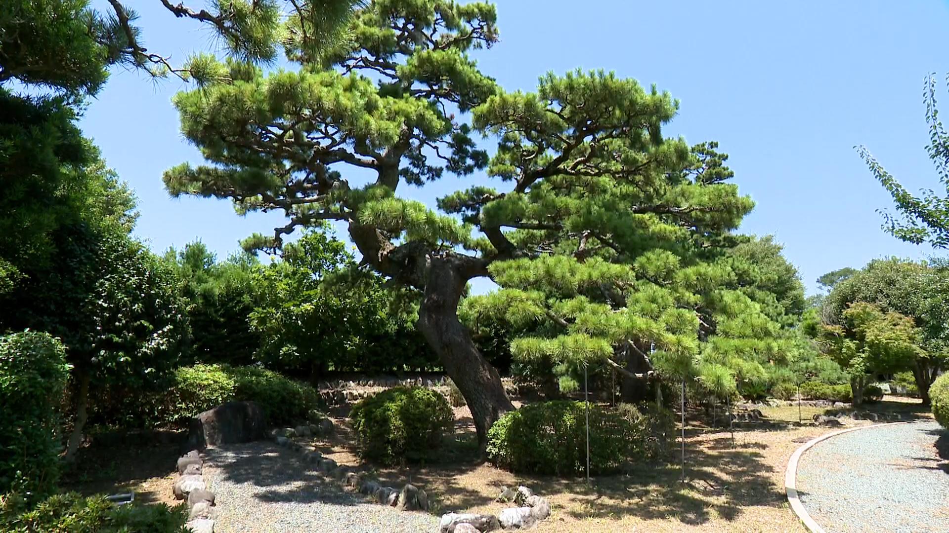 惣右衛門