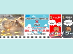 シャボテン