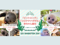 シャボテン