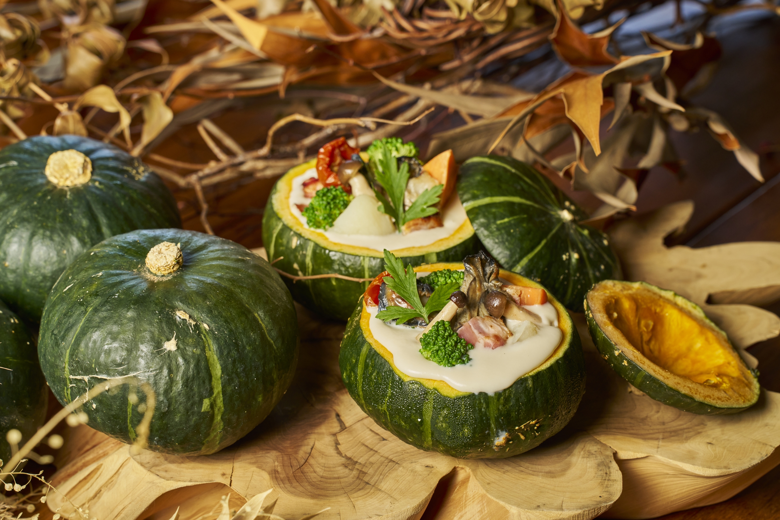 ACAO FOREST
