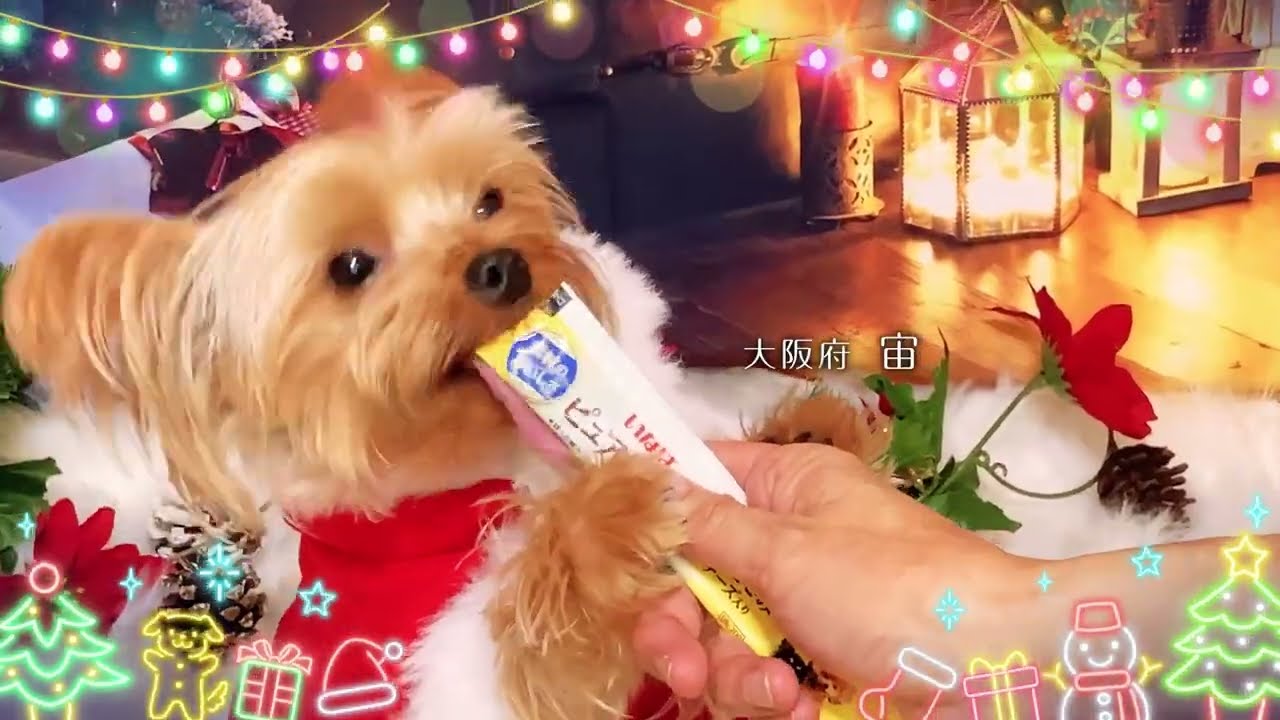 いなば