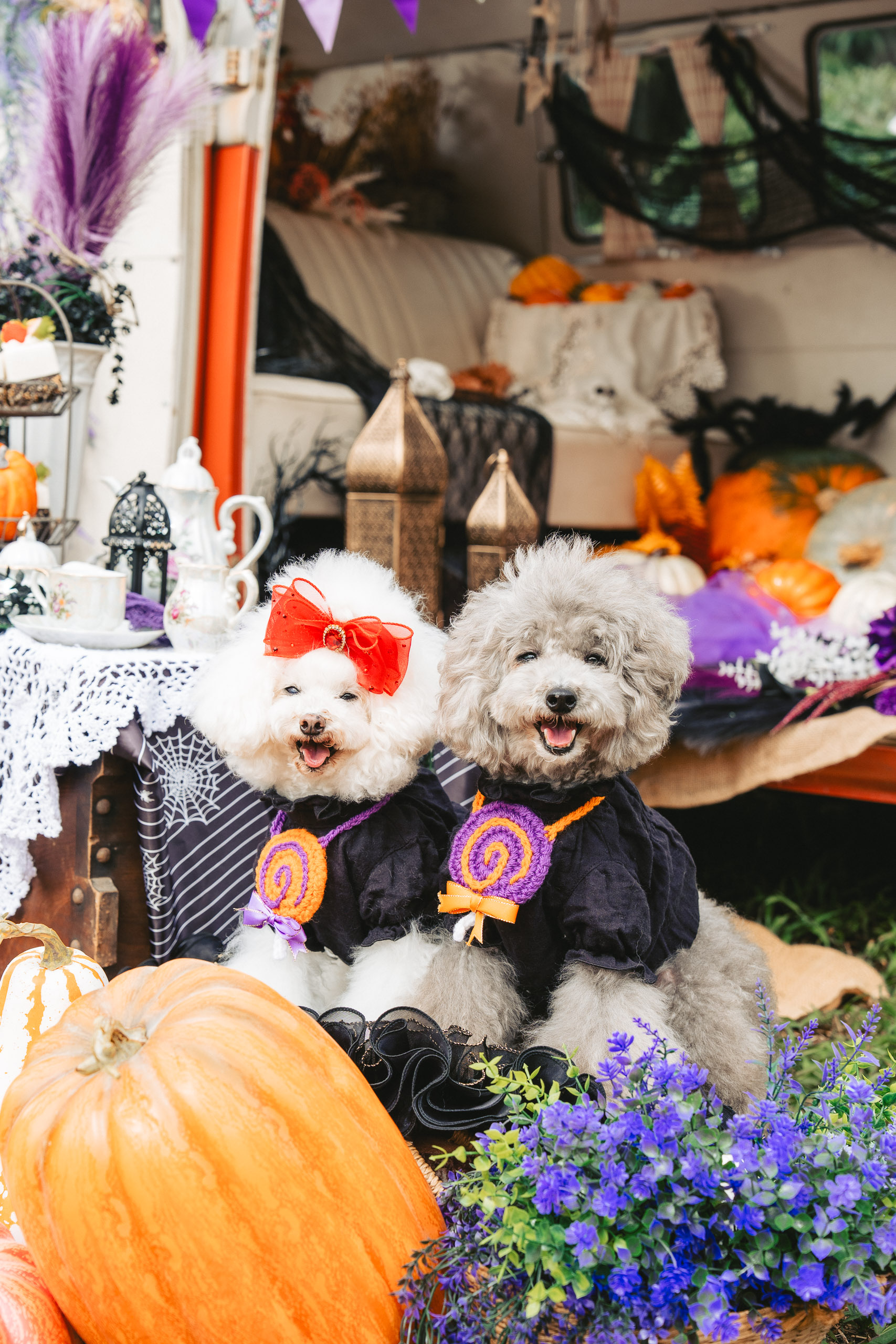 ハロウィン