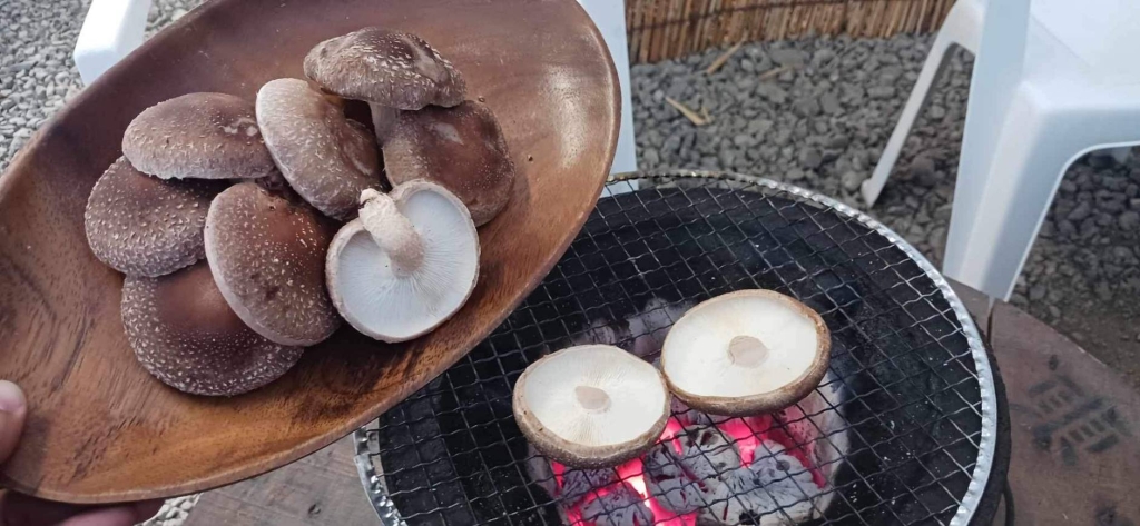 ビールフェス
