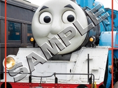 大井川鐵道　トーマスシリーズ