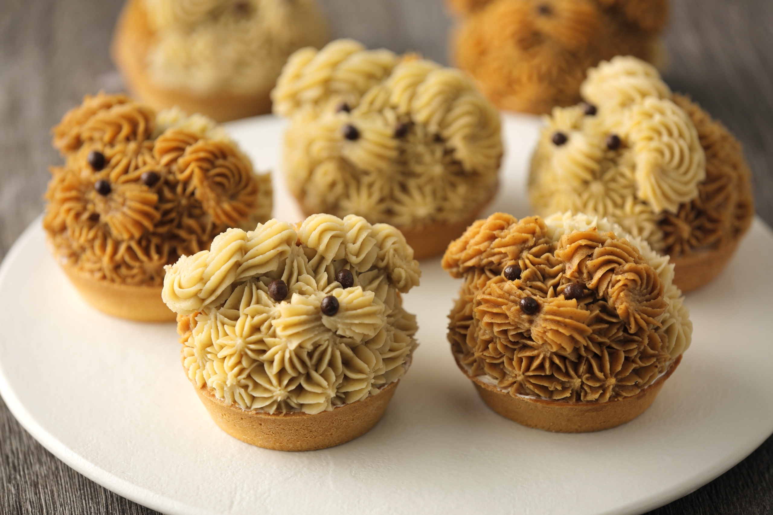 遠州生まれのチーキーロンロン