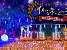 つま恋イルミ